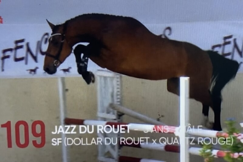 JAZZ DU ROUET - Ventes FENCES ELITE 2022