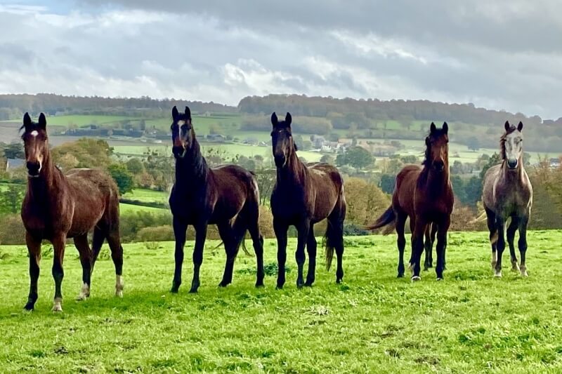 Les futurs 4 ans pour 2023 profitent des derniers jours...