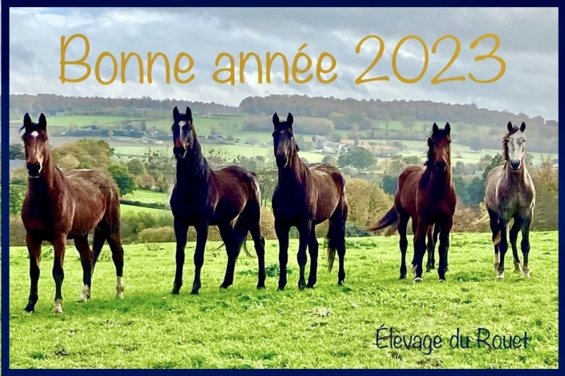 Bonne année 2023!