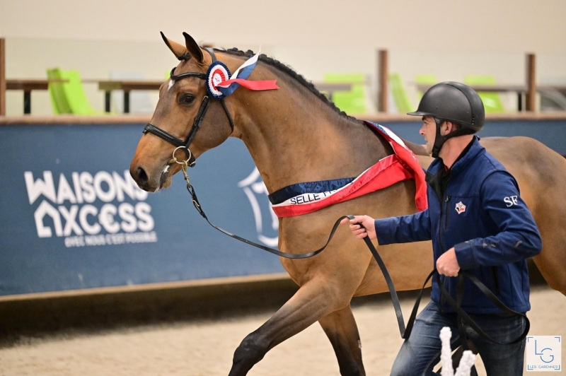 Dollar du Rouet confirme !!