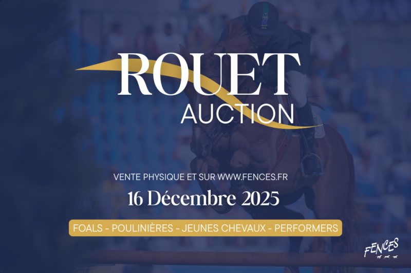 ROUET AUCTION - L'héritage de Baloubet... à votre portée !